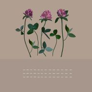Clover flowers notebook