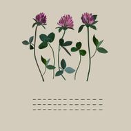 Clover flowers notebook N2