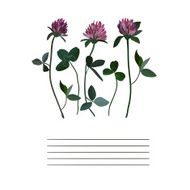 Clover flowers notebook N3