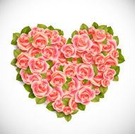 heart of pink roses