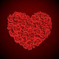 Heart of roses N6
