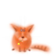 Cat in Fog