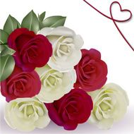 Roses N36