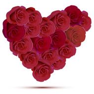 heart N78