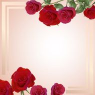 Romantic rose background