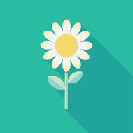 Spring background template White flower cartoon drawing Icon with long