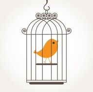 Cute bird in birdcage