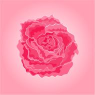 Roses pink simple vector