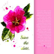 Illustration with flowers stem-rose