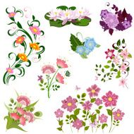 Set of flowers N19