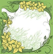 narcissus N3