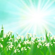 Vector card with small white flowers