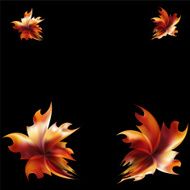 Rose petal Fire flaming flower N3