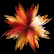 Rose petal Fire flaming flower N4