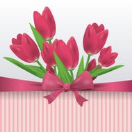 tulip flower N2