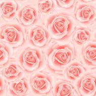 Seamless pattern with roses N91