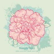 Vector background with peony