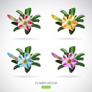 Vector image of adenium flower on white background