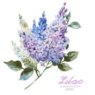Lilac branch N3