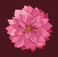 Flowers sketch N2