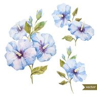 Blue Flowers N28