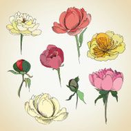 Flowers sketch N3