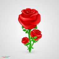 Vector rose
