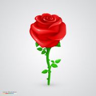 Vector rose N2