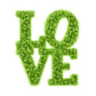 Word Love from leaves