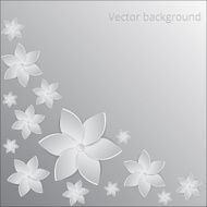 White paper flowers background