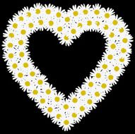 Flowers daisy shape heart