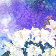 White lilies card