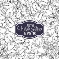 Background outline flowers N2