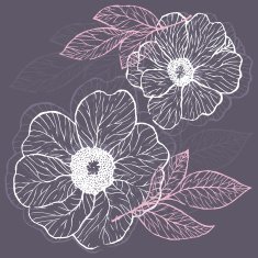 Decorative Floral Background with Flowers of Peony