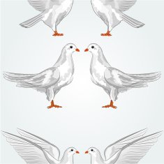 Seamless texture white dove vector
