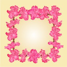 Frame with Rhododendron vector
