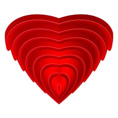 heart N75