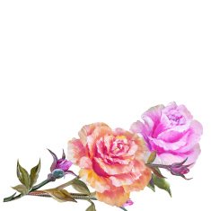 Vinage pink and yellow roses N4