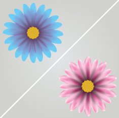 Vector Flowers N9