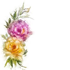 Vintage style pink and yellow roses N4