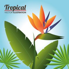 Flowers design vector illustration N6
