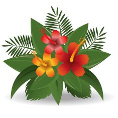 Flowers design vector illustration N8