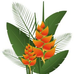 Flowers design vector illustration N15