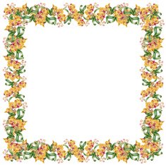 Floral colorful mallow flowers pattern on white background