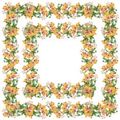 Floral colorful mallow flowers pattern on white background N3