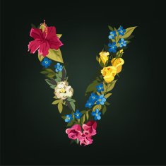 V letter Flower capital alphabet Colorful font Uppercase N2