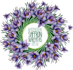 Watercolor saffron wreath