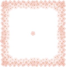 Cherry blossoms in spring frame C N2