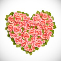 heart of pink roses