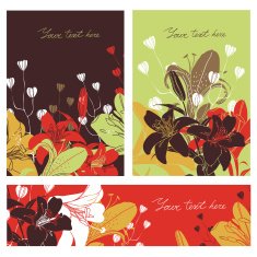 Vector Floral card set with place for your text N2